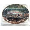 Image 3 : 2 BRADFORD EXCHANGE FISH COLLECTOR PLATES WITH COAS