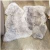 Image 1 : 2 GREY WINDWARD SHEEP SKINS