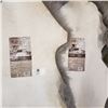 Image 2 : 2 GREY WINDWARD SHEEP SKINS