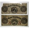 Image 1 : Bank of New Jersey. 1855. Obsolete Banknote Pair