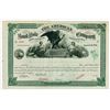 Image 1 : American Bank Note Company, Consolidated Agreement 1904 Specimen Stock Certificate.