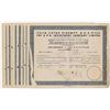 Image 1 : A.P.B. Investment Co. Ltd., 1945-1953 Group of 10 Cancelled Share Certificates.