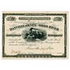 Image 1 : Danville Olney & Ohio River Railroad Co. 1880. I/U Stock Certificate.