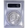 Image 4 : 1904-O MORGAN DOLLAR PCGS MS-63