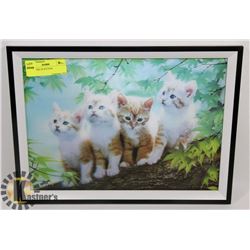 3D PICTURE OF KITTENS