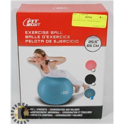 NEW BLUE 25.5" EXERCISE BALL