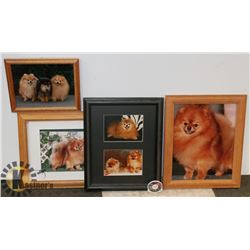 FRAMED DOG PICTURES