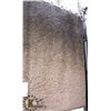 Image 1 : 7) SUPREME SHAG BROWN CARPET 5X8