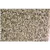Image 3 : 9) SUPER SHAG CARPET 8X11