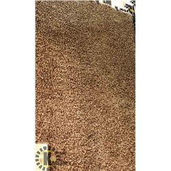 22) VEGAS BROWN CARPET 4X6