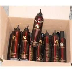 BAILIFF SEIZURE BOX OF ALTERNA MOUSSE