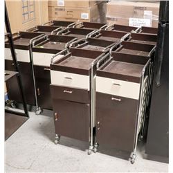 BAILIFF SEIZURE LOT OF 14 SALON CARTS