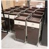 Image 1 : BAILIFF SEIZURE LOT OF 14 SALON CARTS