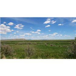 Tract 1:  478± Acres