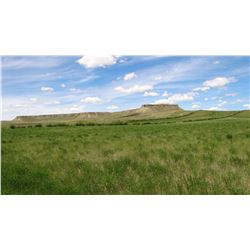 Tract 2: 479± Acres