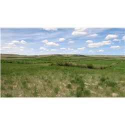 Tract 3: 150± Acres