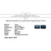 Image 3 : 60.00 ctw. Natural Emerald Cut London Blue Topaz Parcel of Two