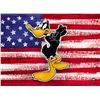 Image 2 : Warner Brothers Hologram Daffy with Flag