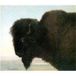 Buffalo Head by Albert Bierstadt