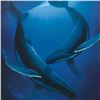 Image 2 : Wyland, "Song of the Deep" Limited Edition Lithograph, Numbered and Hand Signed with Certificate of 