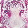 Image 2 : "Cat of the Cosmos" Limited Edition Giclee on Canvas by Stephen Fishwick, Numbered and Signed with C