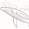 Image 2 : Wyland, "Humpback Whale" Framed Original Sketch, Hand Signed with Certificate of Authenticity.