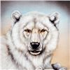 Image 2 : "Polar Bears" Limited Edition Giclee on Canvas by Martin Katon, Numbered and Hand Signed with COA. T