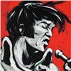 Image 2 : "Elvis Presley (Revolution)" Limited Edition Giclee on Canvas by David Garibaldi, Numbered from Mini