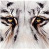 Image 2 : "Eye See You" Limited Edition Giclee on Canvas by Martin Katon, Numbered and Hand Signed with COA. T