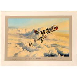 Zemke's Wolfpack by Robert Taylor.  108970