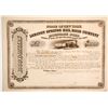 Image 1 : Lebanon Springs Rail Road Co Mortgage bond  83829