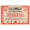 Image 1 : Wells Fargo & Company Rare Specimen Stock  104523