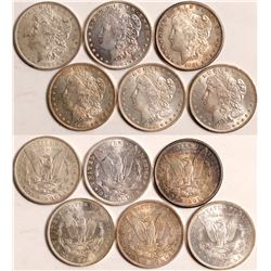 1880s Morgan Dollars  108836