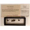 Image 2 : Atocha Silver Artifacts in Case  108537
