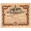 Image 1 : Ben Hur Racing Coaster Company Stock Certificate (Rollercoaster)  107456