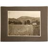 Image 1 : Large California Agricultural Photos (2)  90304