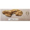 Image 2 : Squaw Creek Alaska 17.40 ounce Gold Nugget  108954