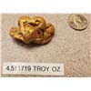 Image 2 : Yukon/Skagway Gold Nugget, 4.51 ozs  108956