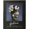 Image 1 : Galena Tucson Poster signed by Chip Clark  91239