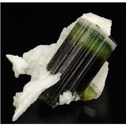 Elbaite from Pakistan  53074