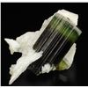 Image 1 : Elbaite from Pakistan  53074