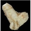 Image 1 : Quartz (Japan-law) from South Africa  53033