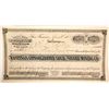 Image 1 : Hastings Consolidated Gold & Silver MIning Company Stock Certificate  59480
