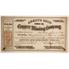 Image 1 : 1864/65 Arroyo Seco Number One Copper Mining Company Stock Certificate  89370