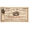 Image 1 : Cornwall Copper Mining Company Stock  90502