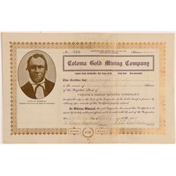 Coloma Gold MC Stock  108094