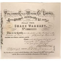 Tuolumne Gold Mining Warrant  90992