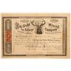 Image 1 : Elk Gold & Silver Mining Company Stock Certificate  106975