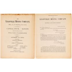 Leadville MC - 1878 prospectus  104803