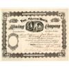 Image 1 : Silver Rock Mining Company Stock Certificate, Leadville, CO, 1881  58541